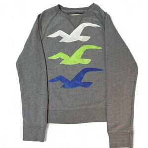 Hollister Grey Seagull Sweatshirt Size small Y2K beach vibes